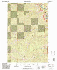 Download a high-resolution, GPS-compatible USGS topo map for Peggy Peak, ID (1997 edition)