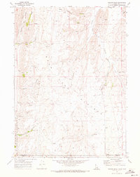 Download a high-resolution, GPS-compatible USGS topo map for Pegram Creek, ID (1973 edition)