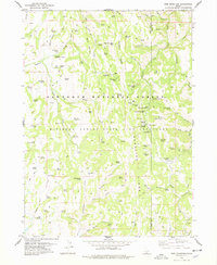 Download a high-resolution, GPS-compatible USGS topo map for Pike Mountain, ID (1978 edition)