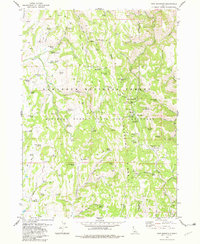 Download a high-resolution, GPS-compatible USGS topo map for Pike Mountain, ID (1982 edition)