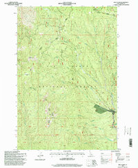 Download a high-resolution, GPS-compatible USGS topo map for Pilot Knob, ID (1999 edition)