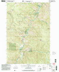 Download a high-resolution, GPS-compatible USGS topo map for Pilot Peak, ID (2007 edition)