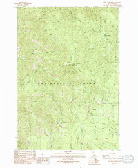 Download a high-resolution, GPS-compatible USGS topo map for Pine Creek Ridge, ID (1991 edition)