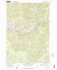 Download a high-resolution, GPS-compatible USGS topo map for Pine Flat, ID (1977 edition)