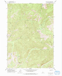 Download a high-resolution, GPS-compatible USGS topo map for Pinyon Peak, ID (1978 edition)