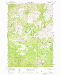 Download a high-resolution, GPS-compatible USGS topo map for Placerville, ID (1976 edition)