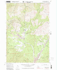 Download a high-resolution, GPS-compatible USGS topo map for Placerville, ID (1982 edition)