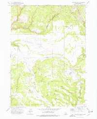 Download a high-resolution, GPS-compatible USGS topo map for Pleasant Valley, ID (1977 edition)