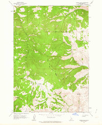 Download a high-resolution, GPS-compatible USGS topo map for Poison Peak, ID (1964 edition)