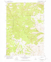 preview thumbnail of historical topo map of Lemhi County, ID in 1962
