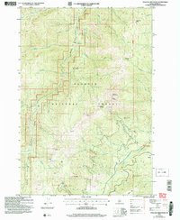 Download a high-resolution, GPS-compatible USGS topo map for Pollock Mountain, ID (2007 edition)