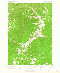 Download a high-resolution, GPS-compatible USGS topo map for Pollock Mountain, ID (1965 edition)