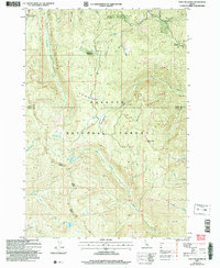 Download a high-resolution, GPS-compatible USGS topo map for Pony Meadows, ID (2007 edition)