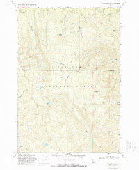 Download a high-resolution, GPS-compatible USGS topo map for Pony Meadows, ID (1972 edition)