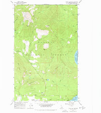 Download a high-resolution, GPS-compatible USGS topo map for Priest Lake NW, ID (1978 edition)