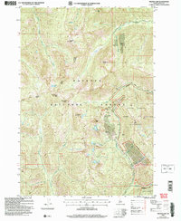 Download a high-resolution, GPS-compatible USGS topo map for Profile Gap, ID (2007 edition)