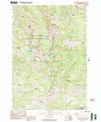 Download a high-resolution, GPS-compatible USGS topo map for Purgatory Saddle, ID (1990 edition)
