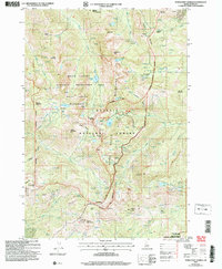 Download a high-resolution, GPS-compatible USGS topo map for Purgatory Saddle, ID (2007 edition)