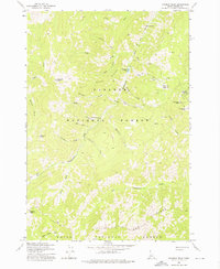 Download a high-resolution, GPS-compatible USGS topo map for Rainbow Peak, ID (1975 edition)