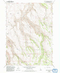 Download a high-resolution, GPS-compatible USGS topo map for Rams Horn Ridge, ID (1992 edition)