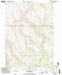 Download a high-resolution, GPS-compatible USGS topo map for Rams Horn Ridge, ID (2006 edition)