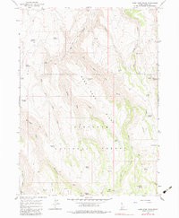 Download a high-resolution, GPS-compatible USGS topo map for Rams Horn Ridge, ID (1983 edition)