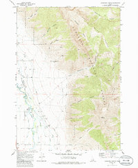 Download a high-resolution, GPS-compatible USGS topo map for Ramshorn Canyon, ID (1986 edition)