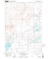 Download a high-resolution, GPS-compatible USGS topo map for Rays Lake, ID (1966 edition)