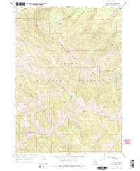 Download a high-resolution, GPS-compatible USGS topo map for Red Ridge, ID (1978 edition)