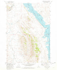 Download a high-resolution, GPS-compatible USGS topo map for Reservoir Mtn, ID (1982 edition)