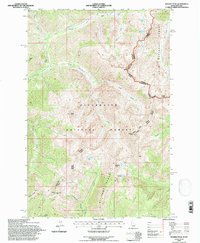 Download a high-resolution, GPS-compatible USGS topo map for Rhodes Peak, ID (1997 edition)