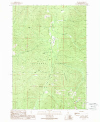 Download a high-resolution, GPS-compatible USGS topo map for Rice Peak, ID (1988 edition)