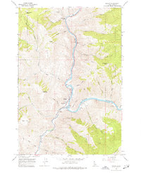Download a high-resolution, GPS-compatible USGS topo map for Riggins, ID (1977 edition)
