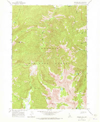 Download a high-resolution, GPS-compatible USGS topo map for Robinson Bar, ID (1973 edition)