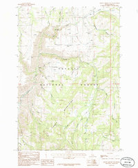 Download a high-resolution, GPS-compatible USGS topo map for Rocky Comfort Flat, ID (1986 edition)
