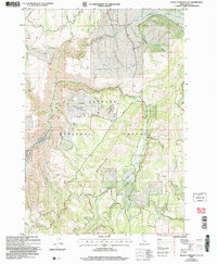 Download a high-resolution, GPS-compatible USGS topo map for Rocky Comfort Flat, ID (2007 edition)