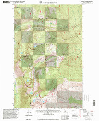 Download a high-resolution, GPS-compatible USGS topo map for Roman Nose, ID (1999 edition)
