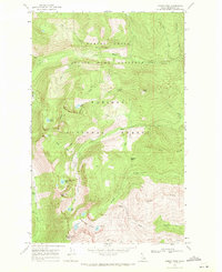 Download a high-resolution, GPS-compatible USGS topo map for Roman Nose, ID (1971 edition)