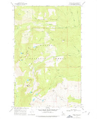 Download a high-resolution, GPS-compatible USGS topo map for Roman Nose, ID (1978 edition)