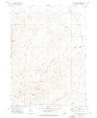 Download a high-resolution, GPS-compatible USGS topo map for Rough Mountain, ID (1975 edition)