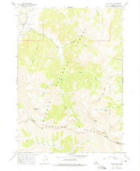 Download a high-resolution, GPS-compatible USGS topo map for Ryan Peak, ID (1975 edition)