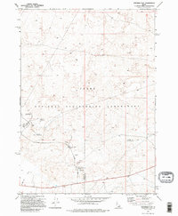 Download a high-resolution, GPS-compatible USGS topo map for Ryegrass Flat, ID (1995 edition)
