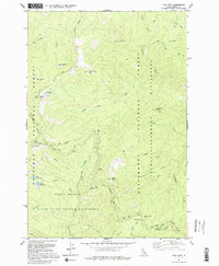 Download a high-resolution, GPS-compatible USGS topo map for Sabe Mountain, ID (1995 edition)