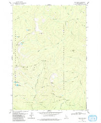 Download a high-resolution, GPS-compatible USGS topo map for Sabe Mtn, ID (1979 edition)