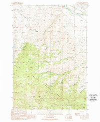 Download a high-resolution, GPS-compatible USGS topo map for Sal Mountain, ID (1989 edition)