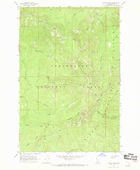 Download a high-resolution, GPS-compatible USGS topo map for Savage Ridge, ID (1969 edition)