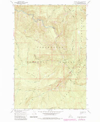 Download a high-resolution, GPS-compatible USGS topo map for Savage Ridge, ID (1984 edition)