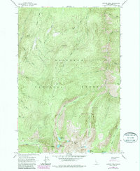 Download a high-resolution, GPS-compatible USGS topo map for Sawyer Ridge, ID (1987 edition)