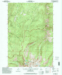 Download a high-resolution, GPS-compatible USGS topo map for Sawyer Ridge, ID (1999 edition)