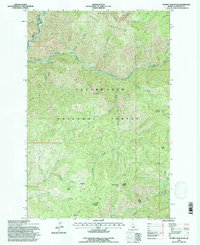 Download a high-resolution, GPS-compatible USGS topo map for Scurvy Mountain, ID (1997 edition)